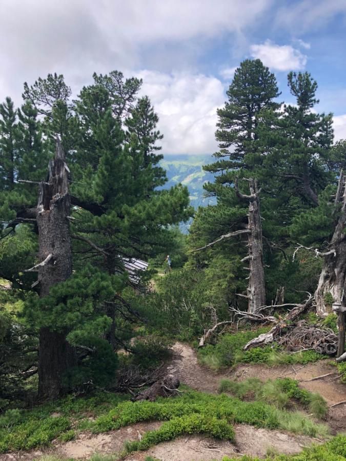Grenzberg - Bad Gastein Lejlighed Eksteriør billede