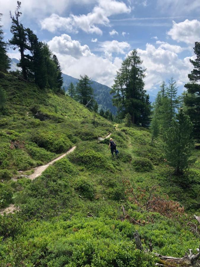 Grenzberg - Bad Gastein Lejlighed Eksteriør billede